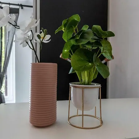 Altido Monolocale A Nolo Apartamento Milão